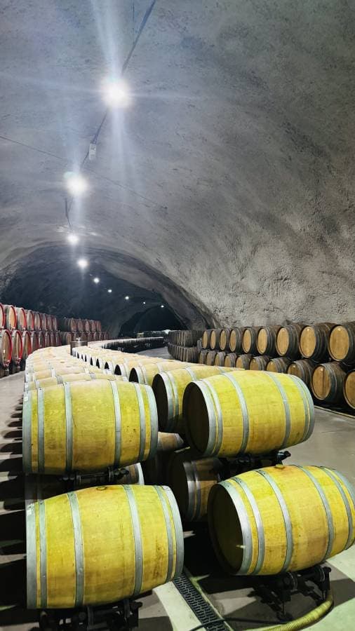 Photo 2 by Karol Jaimon J. about renting a Hyundai i20 at Podgorica Airport (7/21/25)