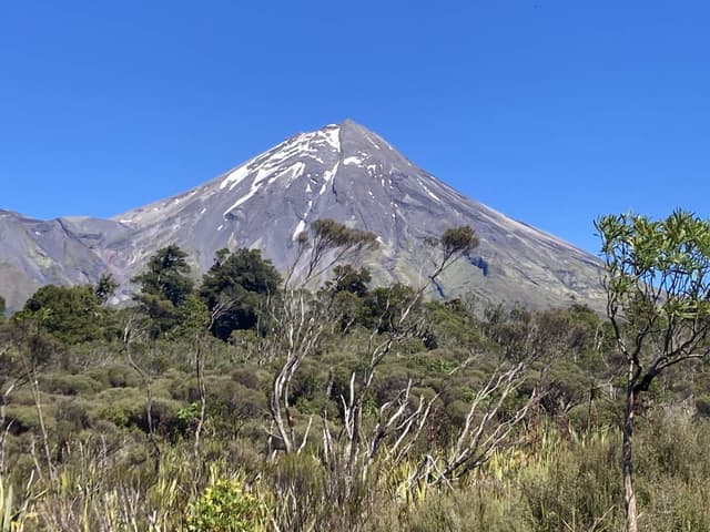 Photo 1 by Hendrik H. (1/3/23)