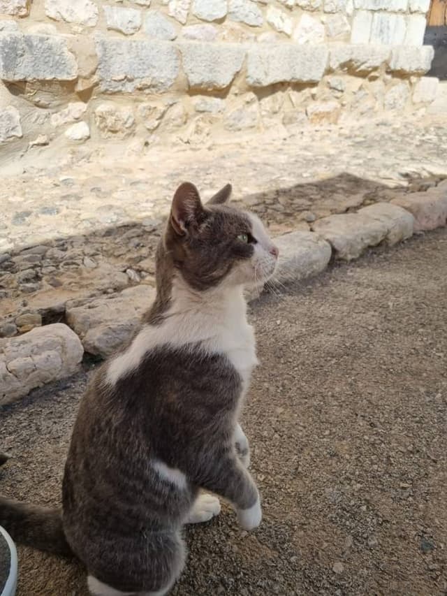 Photo 1 by Malcolm T. about hiring a Citroen C3 Aircross in Majorca (15/10/24)