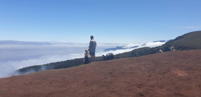 Photo 1 by Dirk M. about hiring a Volkswagen T-Roc in Funchal (17/05/24)