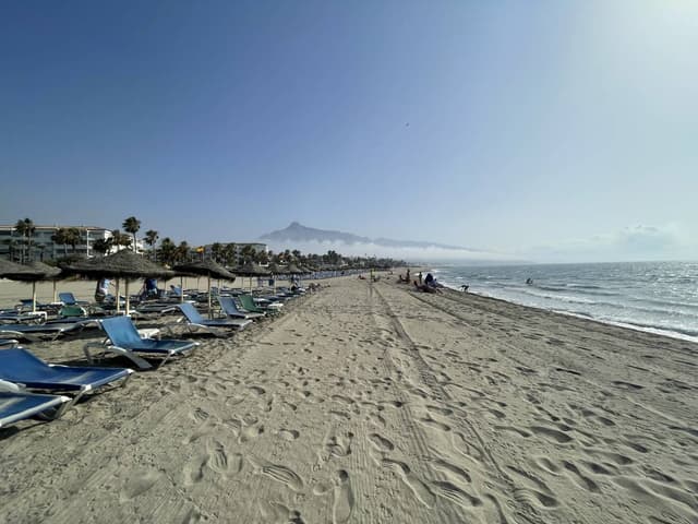 Photo 1 by DAVID S. (7/20/24)