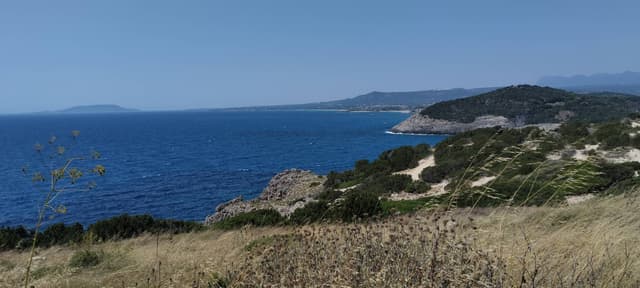 Foto 2 van Alexander V. (2-7-25)