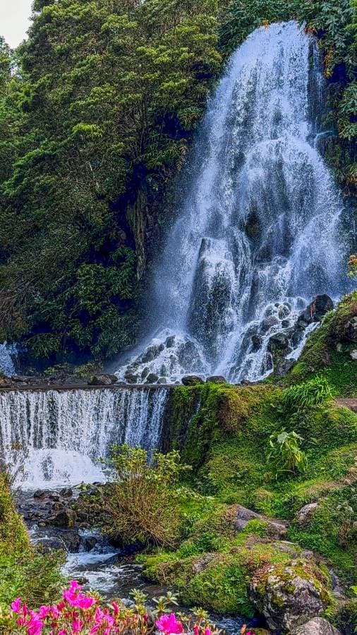 Photo 1 by Krzysztof P. (3/22/25)