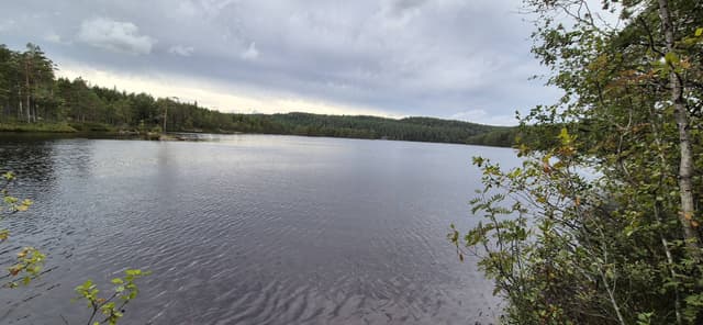 Photo 1 by Vladimir S. (8/19/24)