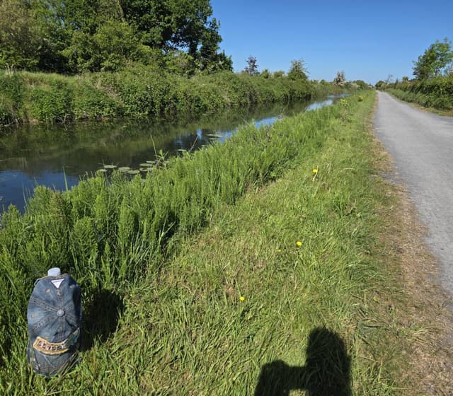 Photo 1 by Zafar K. (5/19/25)