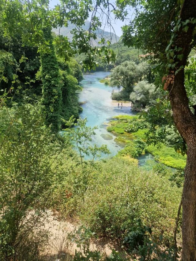 Photo 1 par Ahmed S. (15/06/25)