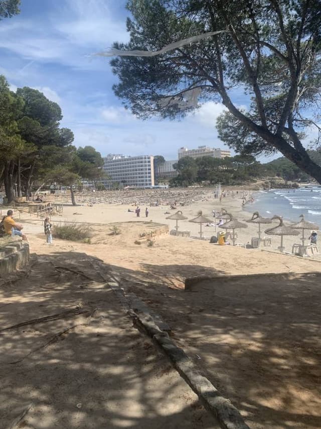 Photo by Pat M. about hiring a Ford Focus in Majorca (19/04/25)