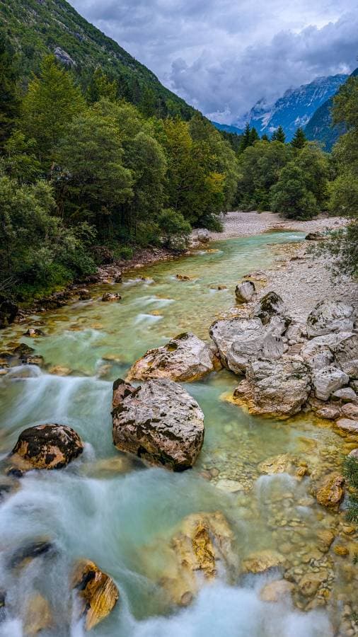 Photo 2 by Dean M. (7/26/24)