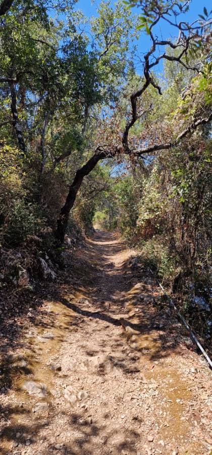 Zdjęcie 1 wykonane przez Jaroslaw G. (17.08.24)