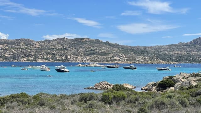 Photo by Nigel H. (10/1/24)