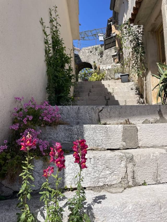 Fotografija 2 autora Dario L. (05. 05. 25.)