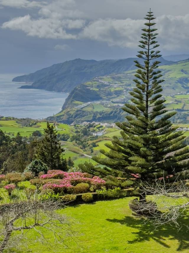 Photo 2 by Krzysztof P. (3/22/25)