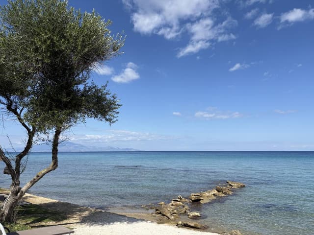 Photo 1 by Marius H. (10/12/25)