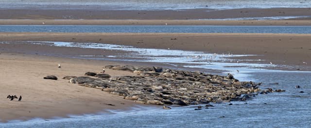 Photo by Jan R. about hiring a Opel Corsa at Edinburgh Waverley Railway Station (02/10/25)