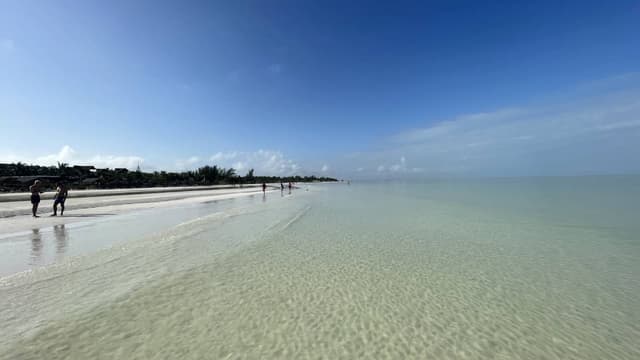 Photo 1 by Alberto B. (1/9/24)