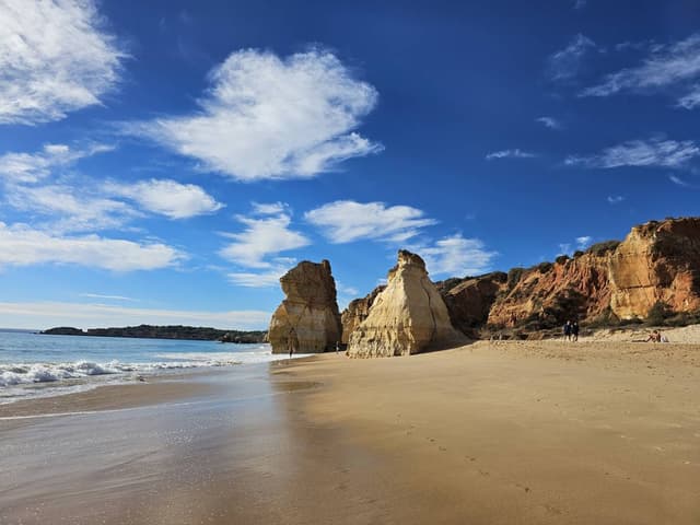 Photo 3 by Sylvia V. (11/5/25)