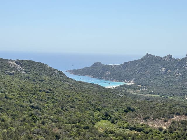 Photo by Andreas F. (7/21/24)