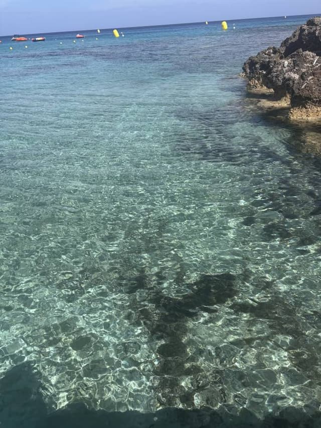 Photo 2 by Victoria R. about hiring a Toyota Auris in Cyprus (22/05/25)