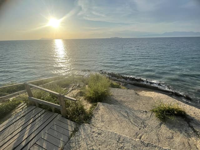 Photo 1 by Spatar C. (6/5/23)