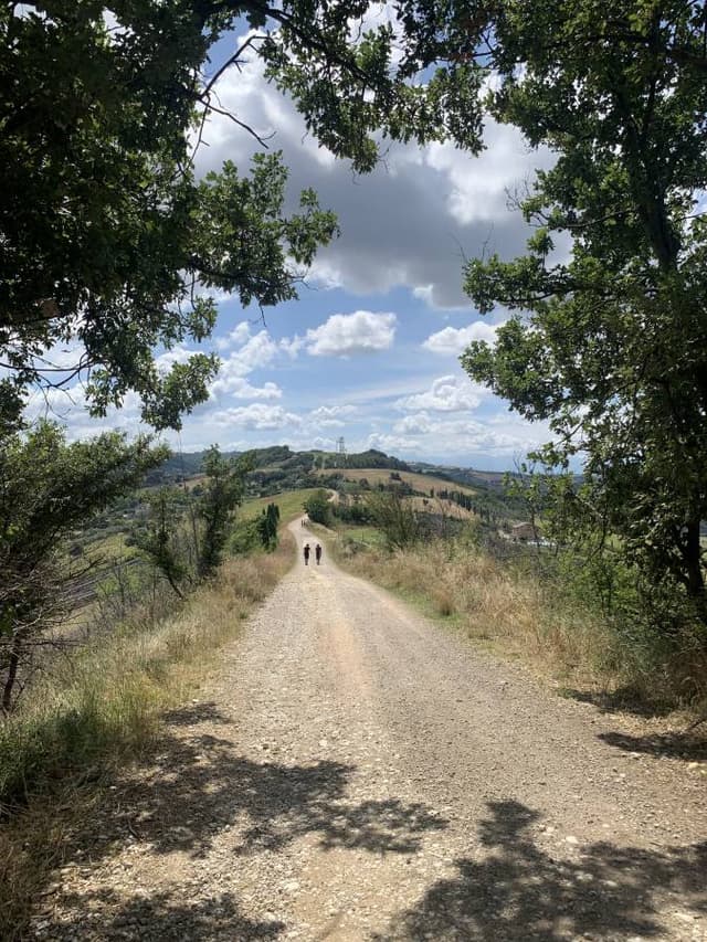 Foto 1 di andrea S. (13/08/25)