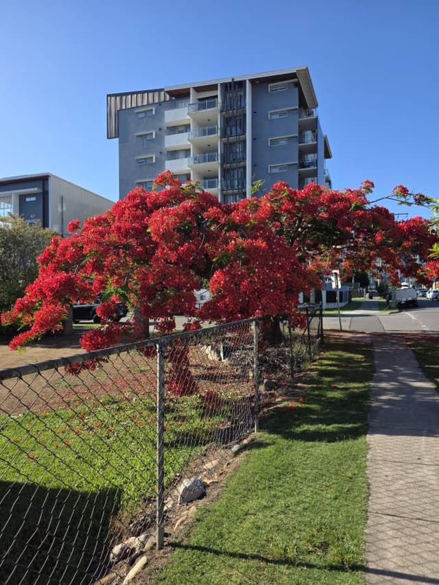 Photo 1 by Nina N. (11/20/25)