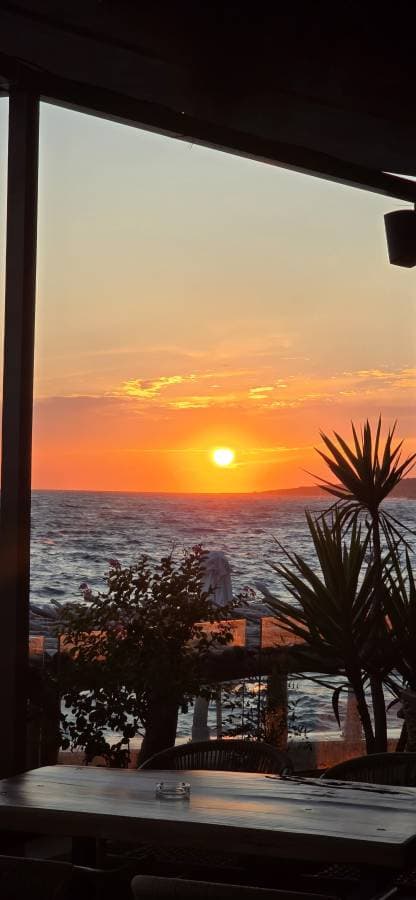 Billede 1 af Lasse K. (7.9.25)