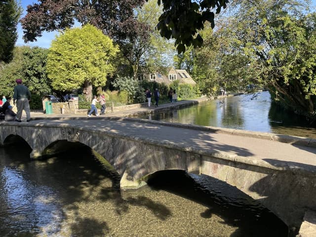 Photo 1 by Kim D. (9/17/24)