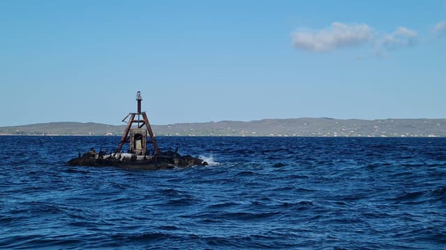 Foto 1 di Pierpaolo C. (07/09/25)