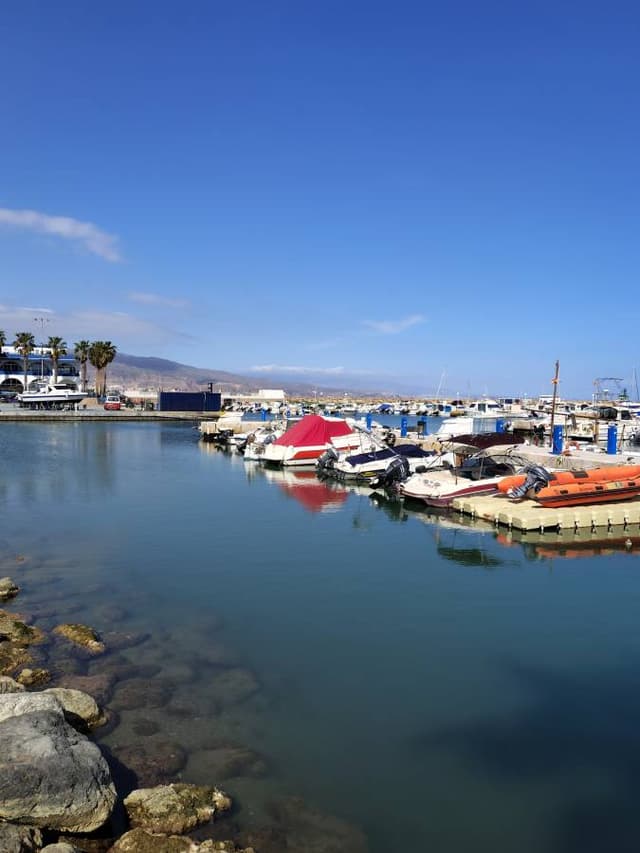 Photo 2 by martin C. (3/31/26)