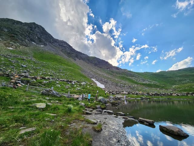 Photo by shira A. (7/23/23)