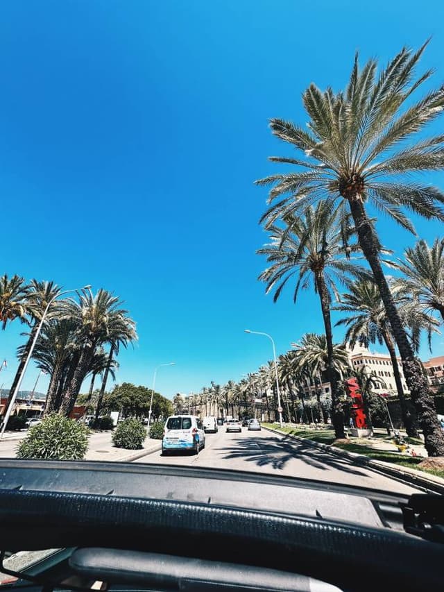 Photo 1 by Pawel K. (6/7/24)