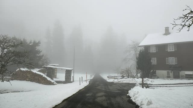 Photo 1 by Tatang W. (3/25/24)