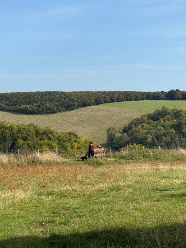 Photo 1 by Raitvile V. (9/13/25)