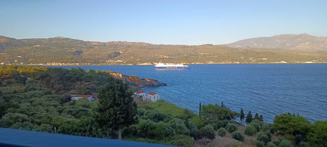 Photo 1 by Richard D. (8/13/24)