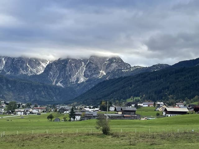 Photo 2 by Alicia Y. (10/1/24)