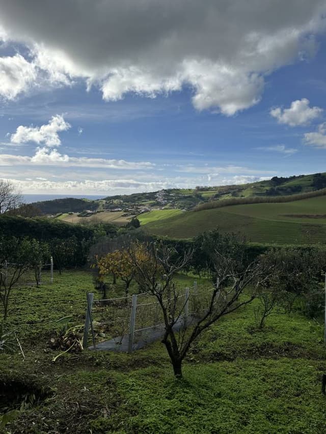 Photo 1 by Brian B. (12/26/24)