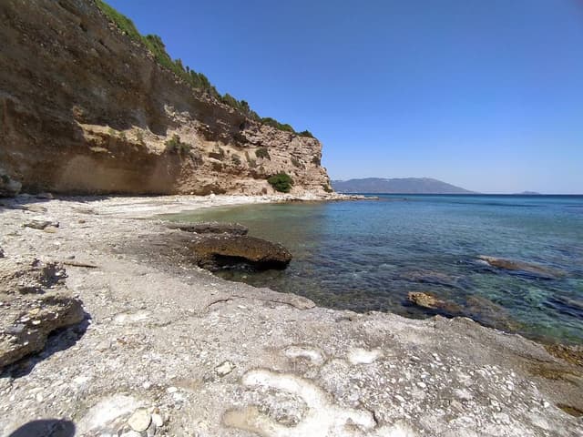 Photo 1 by Gregory K. (7/4/25)