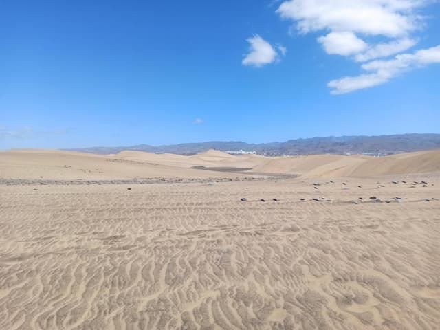 Photo 1 by Inaki A. (5/3/24)