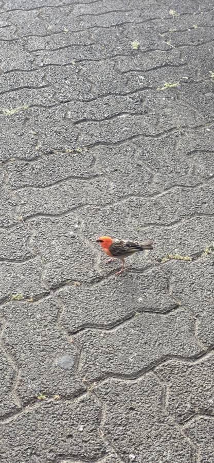 Photo 2 par CLELIA L. (02/10/25)