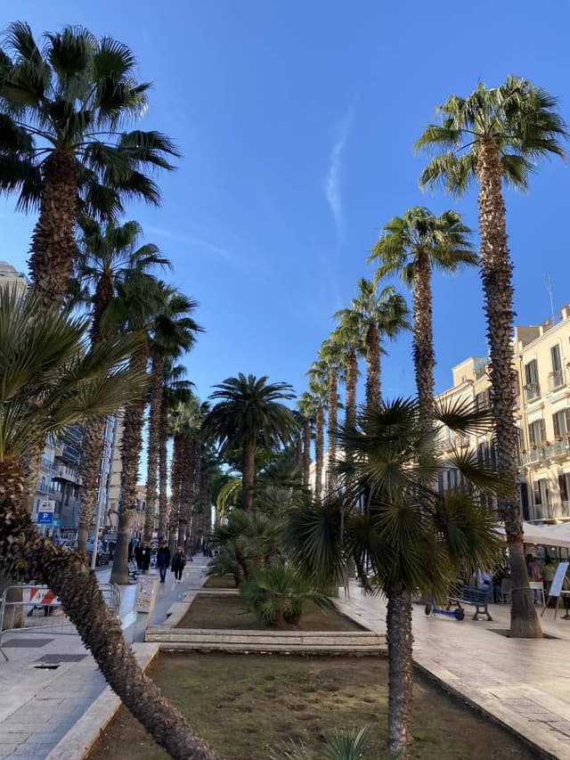 Photo 1 by Marius Alin F. (1/5/24)