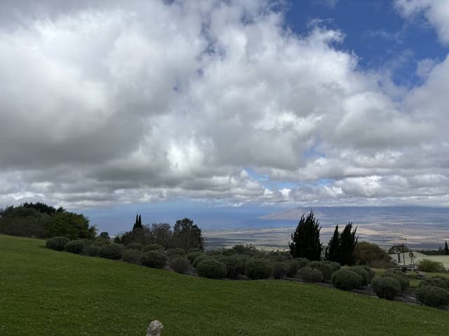 Photo 1 by YINGRU G. (5/20/25)