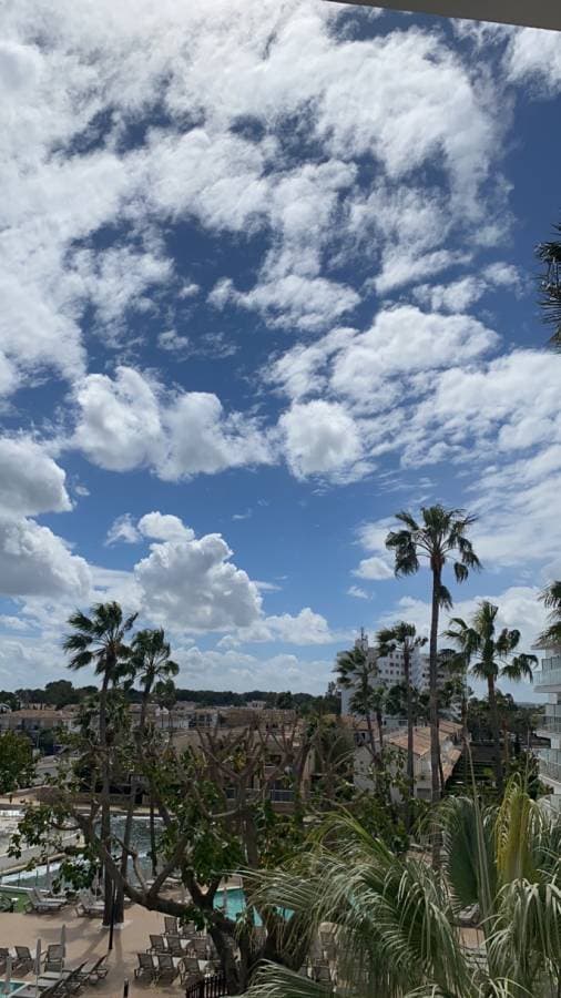 Photo 1 by Tyra F. about hiring a Volkswagen Golf in Majorca (01/04/24)