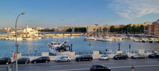 Photo 1 by Alexander G. (6/25/24)