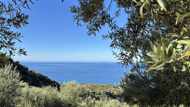 Foto 3 av Peter W. (25-11-02)