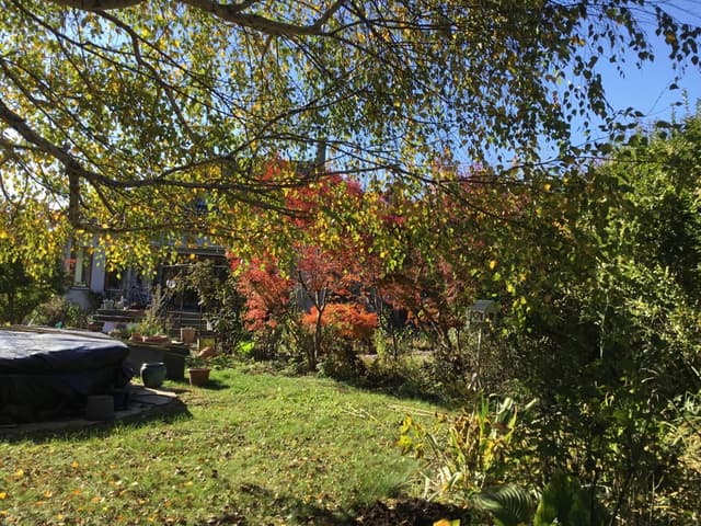 Photo 2 by PATRICIA I. (11/17/23)