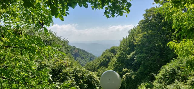 Foto 3 van Rick G. (13-8-23)