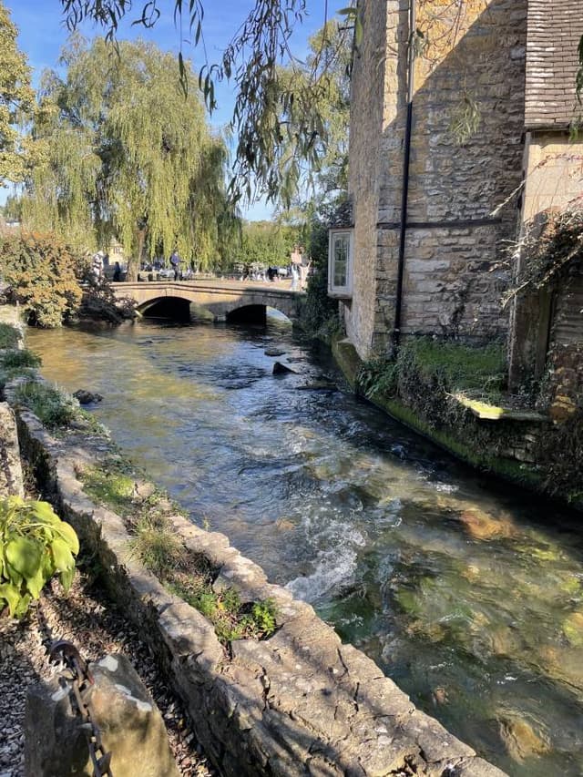 Photo 2 by Kim D. (9/17/24)