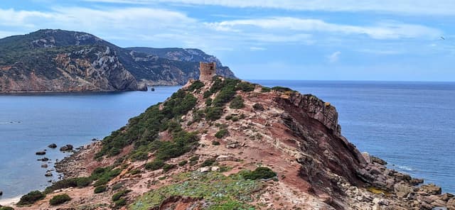 Photo 2 by Salvatore C. (4/21/25)