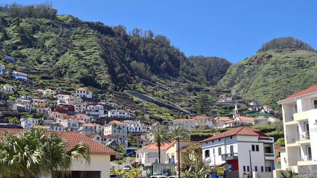 Photo 2 by Petri K. (4/3/25)