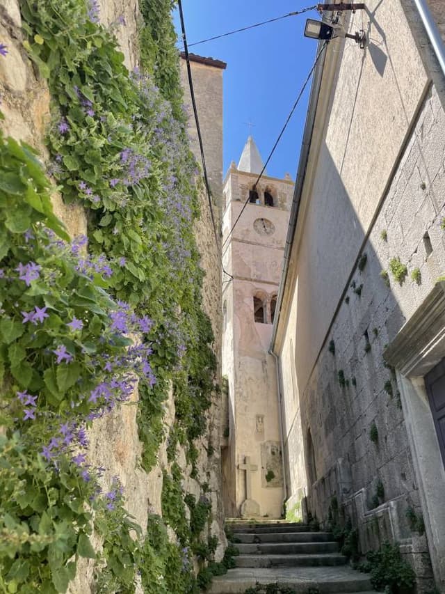 Fotografija 4 autora Dario L. (05. 05. 25.)